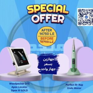 Endo Motor Perfect & Woodpecker DTE Apex III Gold